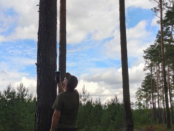 Monitoring zasiedlenia skrzynek nietoperzowych w trzech Parkach ZPKWŁ 2025, <p>fot. KK</p>